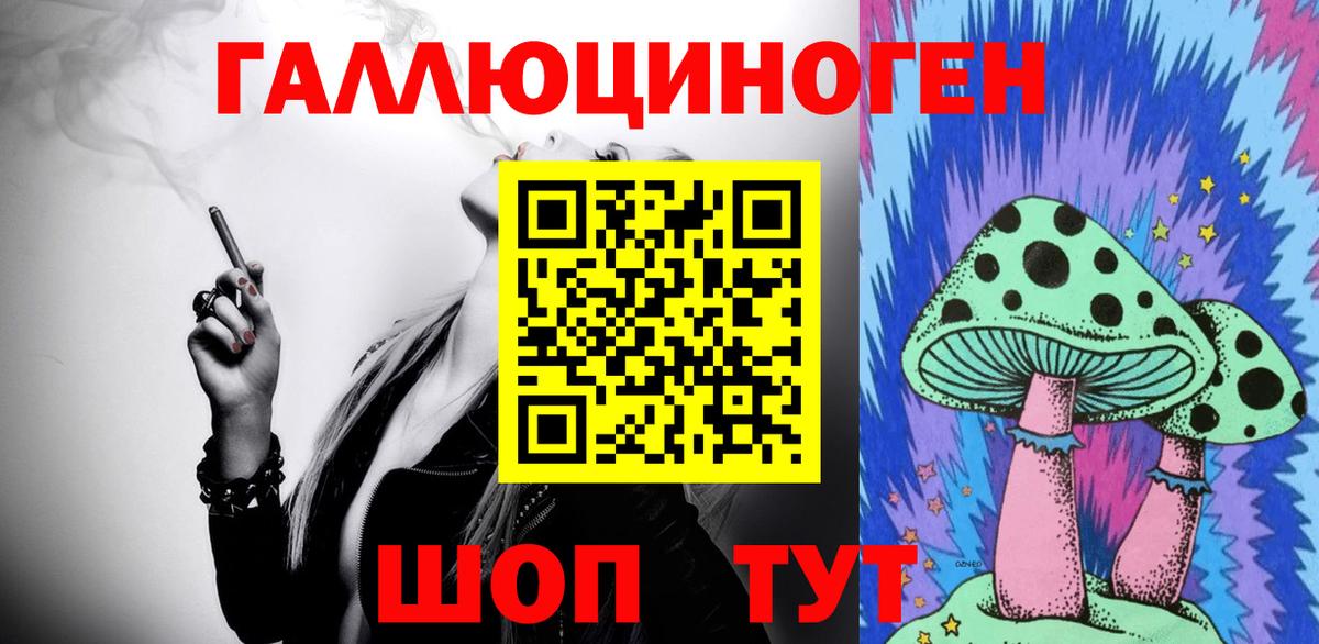 Кольчугино  Галлюциногенные грибы Psilocybine cubensis  Вход с VPN  Псилоцибиновые грибы MAGIC MUSHROOMS 