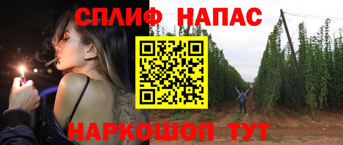 Канабис тримм Кольчугино